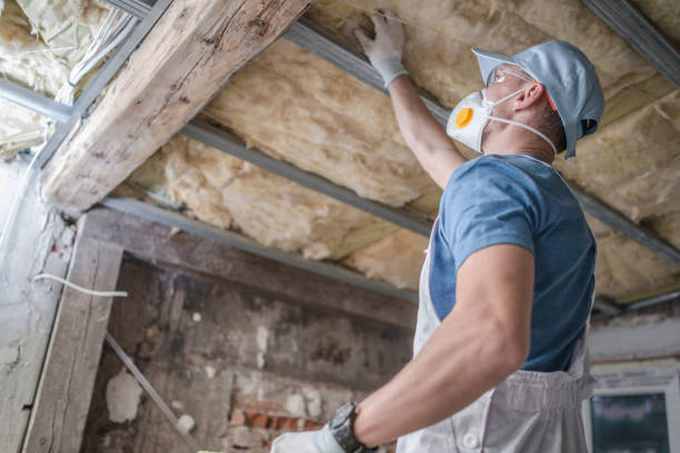 Best Energy Efficiency Solutions in Mount Olive, NC