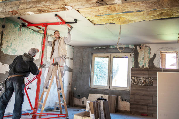 Best Insulation Maintenance and Repair in Mount Olive, NC