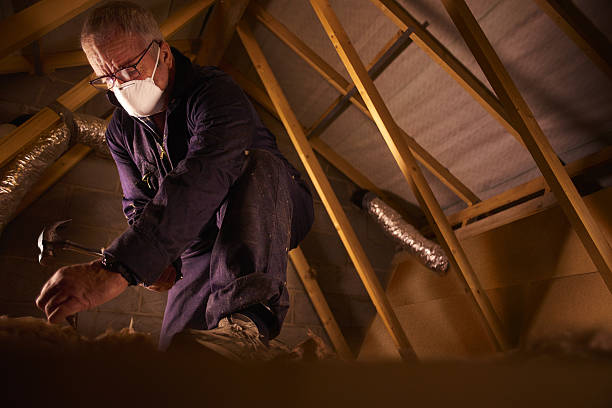 Best Commercial Insulation in Mount Olive, NC